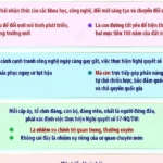 vn nq57 tb24 100d f3 b1