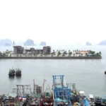 1106 dac khu van don