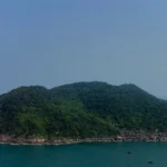 2703 son tra da nang