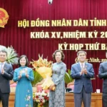 ba vu thi mai anh duoc bau lam pho chu tich ubnd tinh quang ninh 1