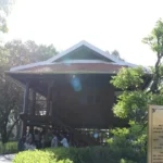 dau an nha san bac ho giua long dong thap 1 resize