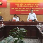 doan kiem tra giam sat so 231 dang bo tinh ca mau 2