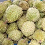dong thap ma so vung trong 0406