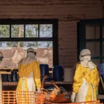 ebola