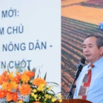 gsts pham hong tung