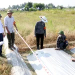 hai phong cuong che kiem dem thu hoi gan 3000m2 dat de xay dung khu dan cu moi dong cam 8954547