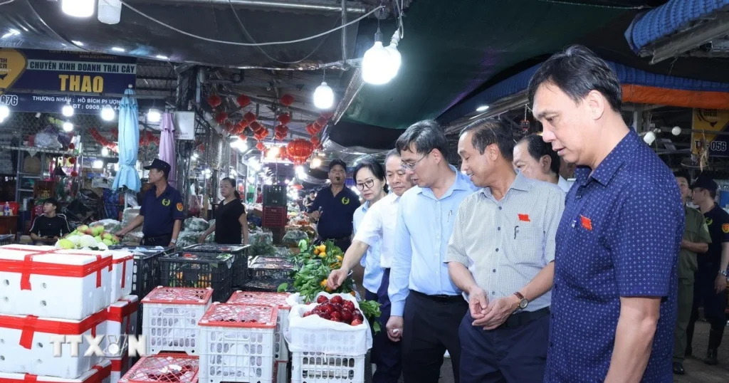 Thành phố Hồ Chí Minh siết kiểm soát chặt chẽ thực phẩm tại các chợ đầu mối 1 hdnd thanh pho ho chi minh giam sat an toan thuc pham tai cho dau moi
