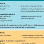 info quoc gia bien manh 2437