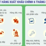 info vietnam new zealand