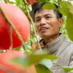 lang trong buoi do 5 3765