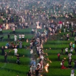 le hoi duoc tai tinh tu xuyen 1
