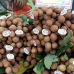 nhan long hung yen 6100