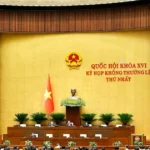 quoc hoi 2