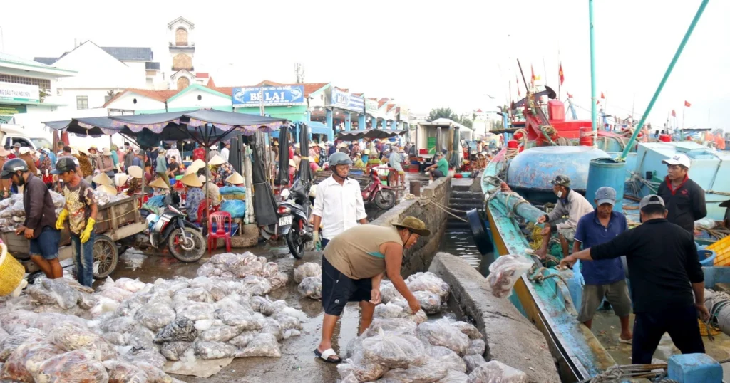 Lâm Đồng vào cao điểm vụ cá Nam, ngư dân phấn khởi vươn khơi 1 thu hoach hai san 1