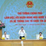 thu tuong lam viec voi ngan hang nha nuoc va cac to chuc tin dung 2