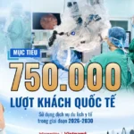tran long infographic chu quyen so myeu 916169 4 x 6 in 720 x 1080 px 1920 x 1080 px