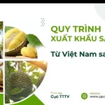 viet nam an do no luc mo rong du dia thuong mai nong san