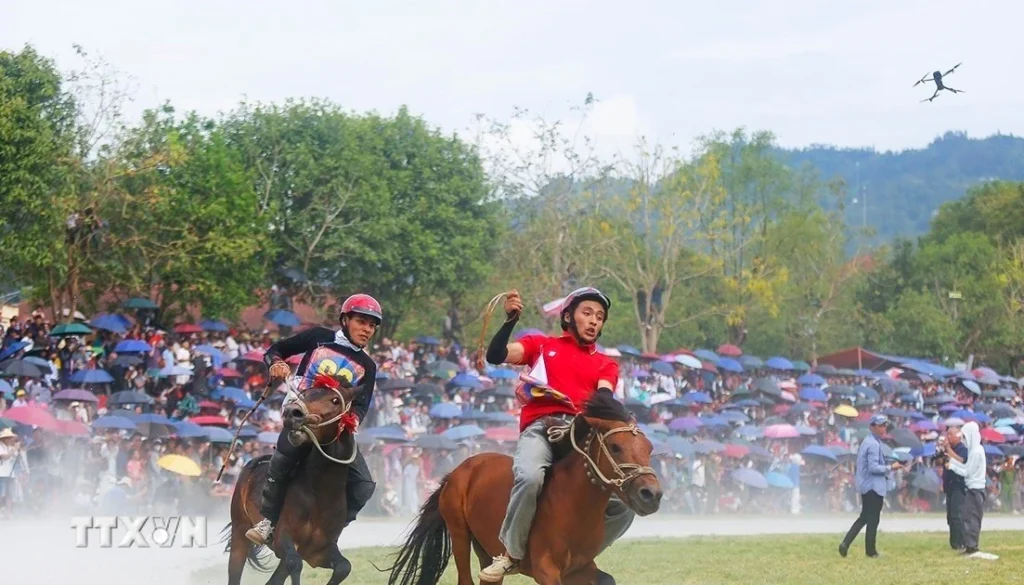 vong chung ket giai dua ngua truyen thong bac ha 7