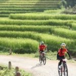 vut bay tren song lua vang diem nhan mua du lich he lao cai 8913264