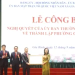 1209 phuong gia binh bac ninh