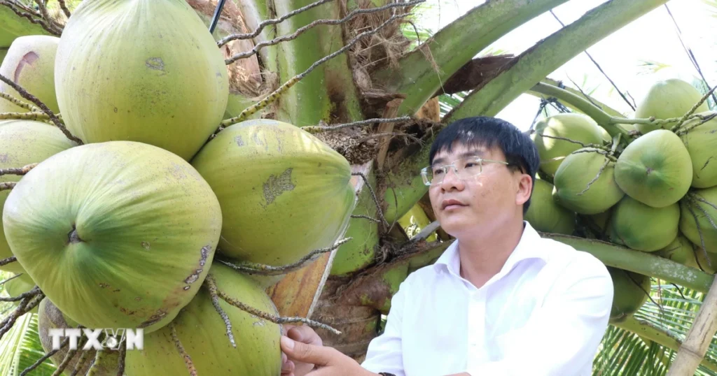 Vĩnh Long phát triển vùng nguyên liệu, tăng liên kết với doanh nghiệp trong sản xuất 1 2008 vinh long doi moi sang tao 3