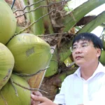 2008 vinh long doi moi sang tao 3