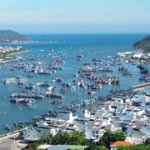 2207 cang ca khanh hoa