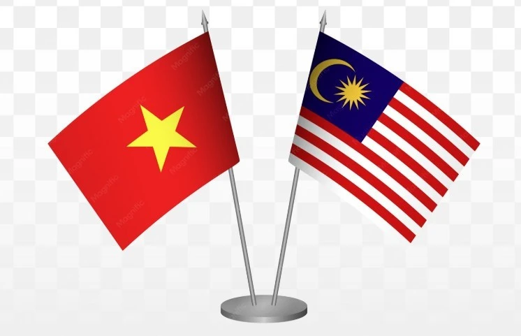3108 co viet nam malaysia