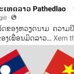 bao lao ca ngoi thanh cong cua viet nam 9005226