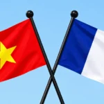 co viet nam va co phap