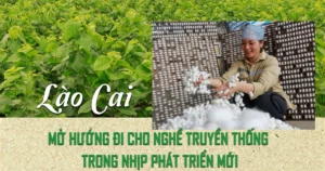cover lang nghe
