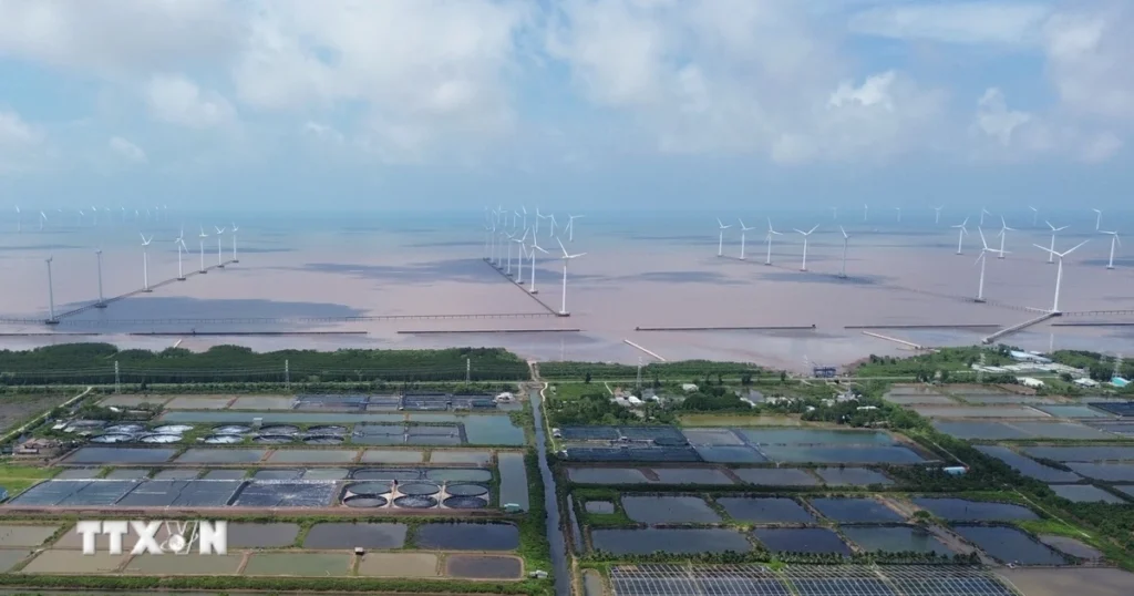Cà Mau: Phê duyệt chủ trương đầu tư dự án điện gió vốn đầu tư gần 5.000 tỷ đồng 1 dien gio ca mau