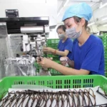 doi tac chien luoc toan dien viet nam phap mo ra giai doan hop tac sau rong 9007966