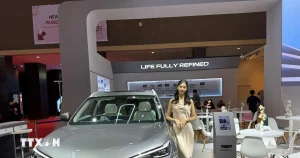 geely resize