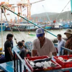 gia lai phat trien nghe ca gan voi ngan chan tau ca vi pham iuu 9015679
