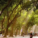 ha noi 2