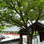 lang hanok 4 resize