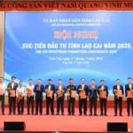 lao cai