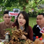 livestream ban hang 6740