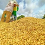 lua
