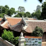 ly nam de 1 1