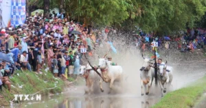 soi noi hoi dua bo chua ro nam 2026 9022339 2