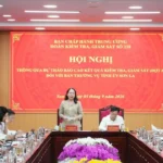 son la pho chu tich nuoc vo thi anh xuan 3
