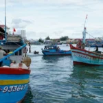 tau ca gia lai