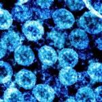 virus sars cov 2 9255