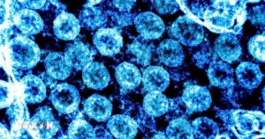 virus sars cov 2 9255