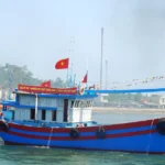 vna potal ngu dan quang ngai ra quan danh bat hai san dau xuan 8601592