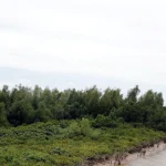 vuon quoc gia ninh binh
