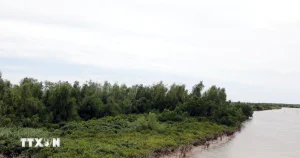 vuon quoc gia ninh binh